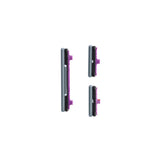 Power and Volume Button Set for Samsung Galaxy S10 10+